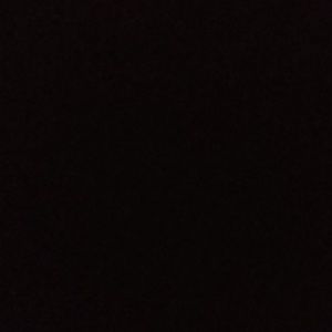 Meet your Posher, Jayla